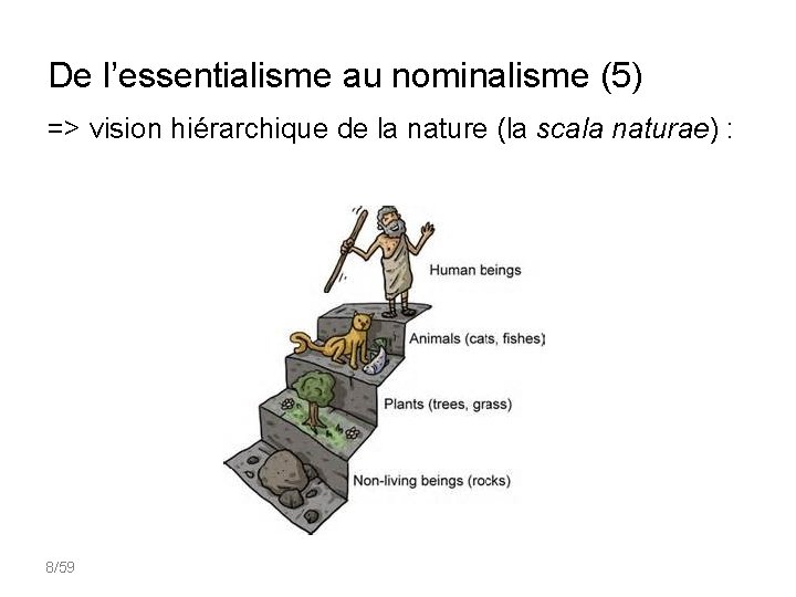 De l’essentialisme au nominalisme (5) => vision hiérarchique de la nature (la scala naturae)