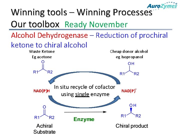 Winning tools – Winning Processes Our toolbox Ready November Alcohol Dehydrogenase – Reduction of