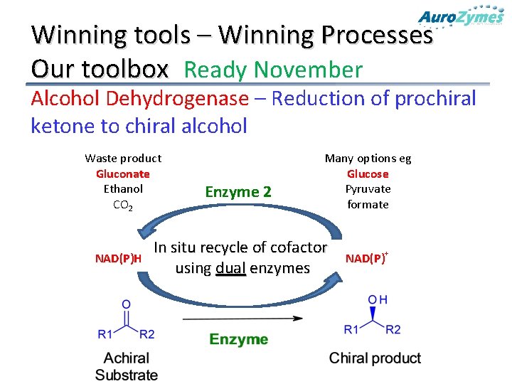 Winning tools – Winning Processes Our toolbox Ready November Alcohol Dehydrogenase – Reduction of