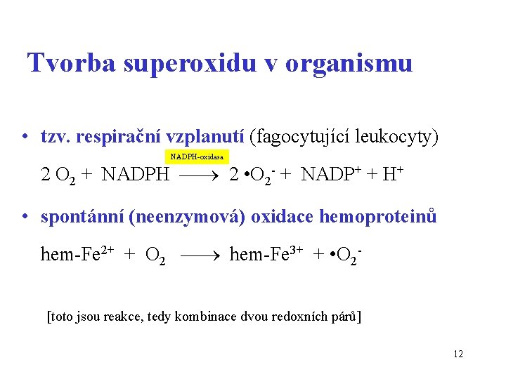 Tvorba superoxidu v organismu • tzv. respirační vzplanutí (fagocytující leukocyty) NADPH-oxidasa 2 O 2