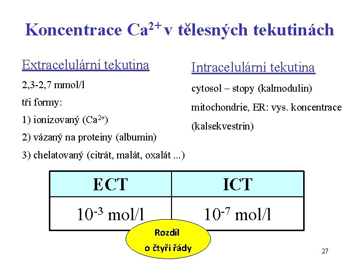 Koncentrace Ca 2+ v tělesných tekutinách Extracelulární tekutina Intracelulární tekutina 2, 3 -2, 7