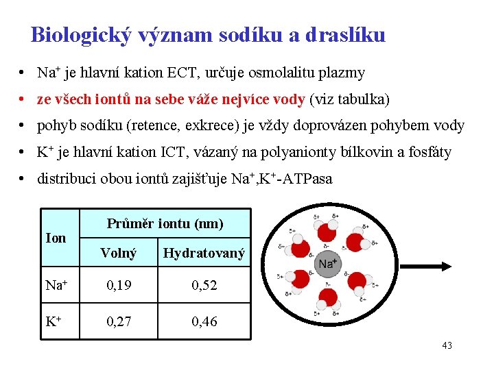 Biologický význam sodíku a draslíku • Na+ je hlavní kation ECT, určuje osmolalitu plazmy