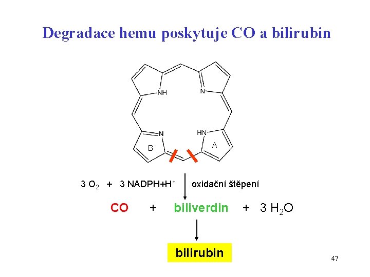 Degradace hemu poskytuje CO a bilirubin A B 3 O 2 + 3 NADPH+H+