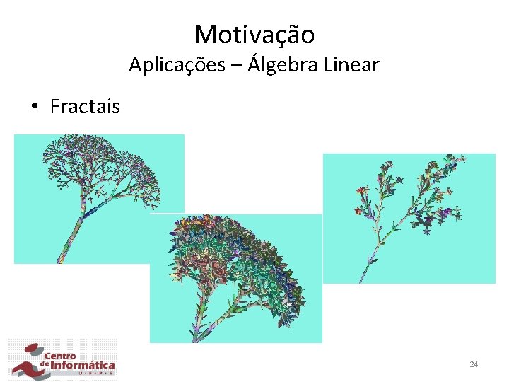 Motivação Aplicações – Álgebra Linear • Fractais 24 