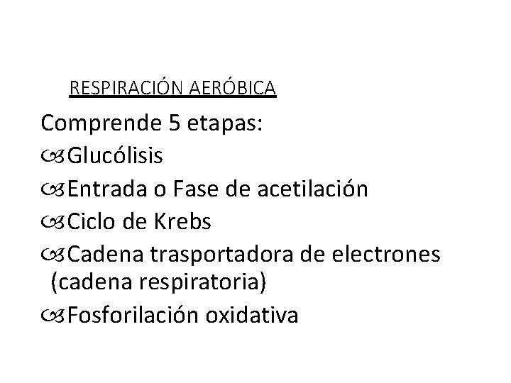 RESPIRACIÓN AERÓBICA Comprende 5 etapas: Glucólisis Entrada o Fase de acetilación Ciclo de Krebs