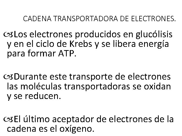 CADENA TRANSPORTADORA DE ELECTRONES. Los electrones producidos en glucólisis y en el ciclo de