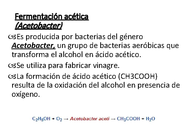 Fermentación acética (Acetobacter) Es producida por bacterias del género Acetobacter, un grupo de bacterias