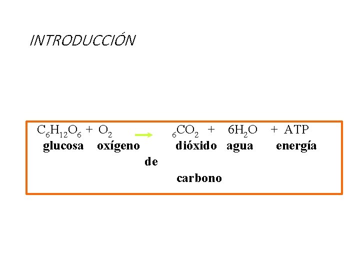 INTRODUCCIÓN C 6 H 12 O 6 + O 2 6 CO 2 +