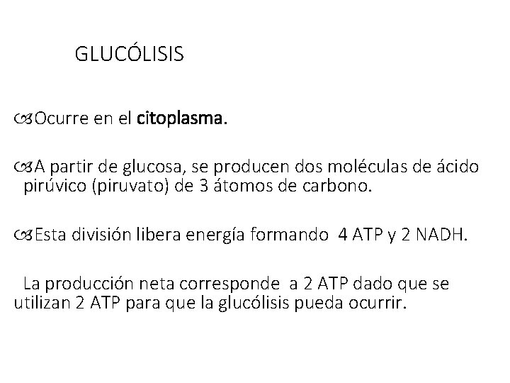  GLUCÓLISIS Ocurre en el citoplasma. A partir de glucosa, se producen dos moléculas