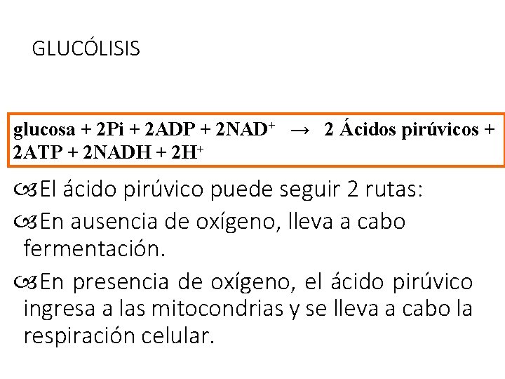  GLUCÓLISIS glucosa + 2 Pi + 2 ADP + 2 NAD+ → 2