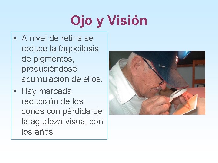 Ojo y Visión • A nivel de retina se reduce la fagocitosis de pigmentos,
