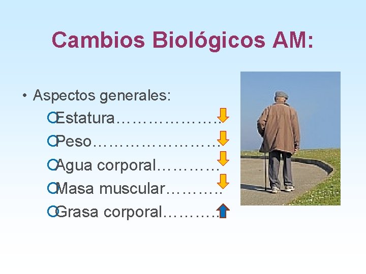 Cambios Biológicos AM: • Aspectos generales: ¡Estatura………………. . ¡Peso………… ¡Agua corporal………… ¡Masa muscular………. .