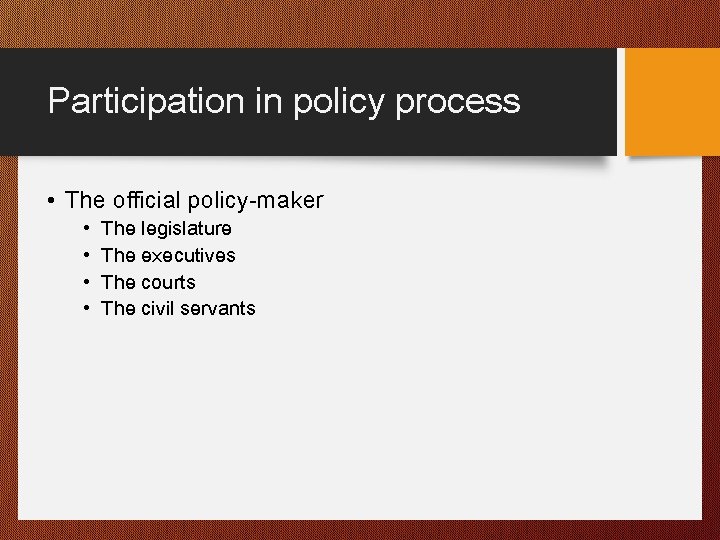 Participation in policy process • The official policy-maker • • The legislature The executives