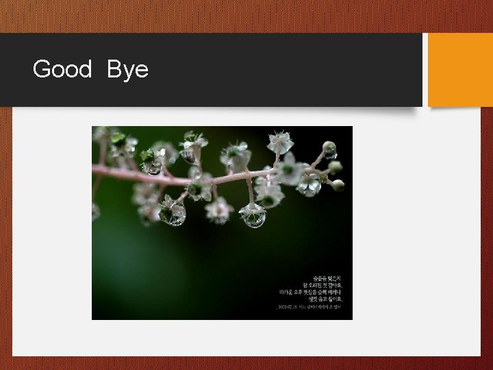Good Bye  Good Bye