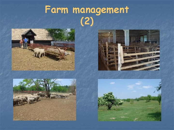 Farm management (2) 