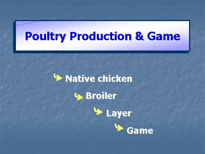 Poultry Production & Game Native chicken Broiler Layer Game 