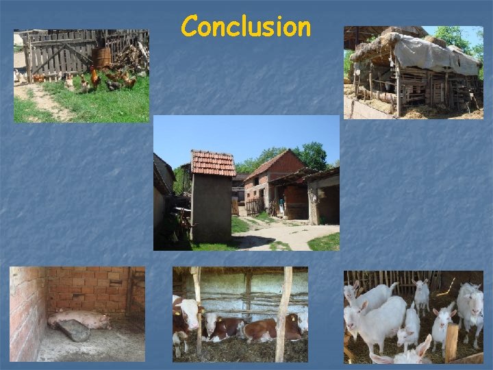 Conclusion 