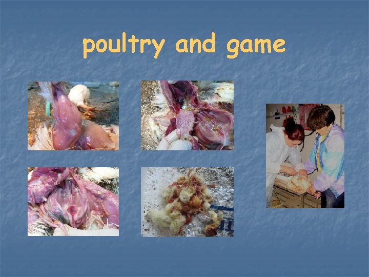 poultry and game 