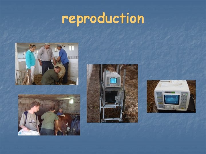 reproduction 