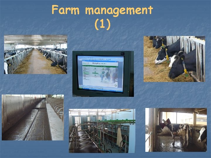 Farm management (1) 
