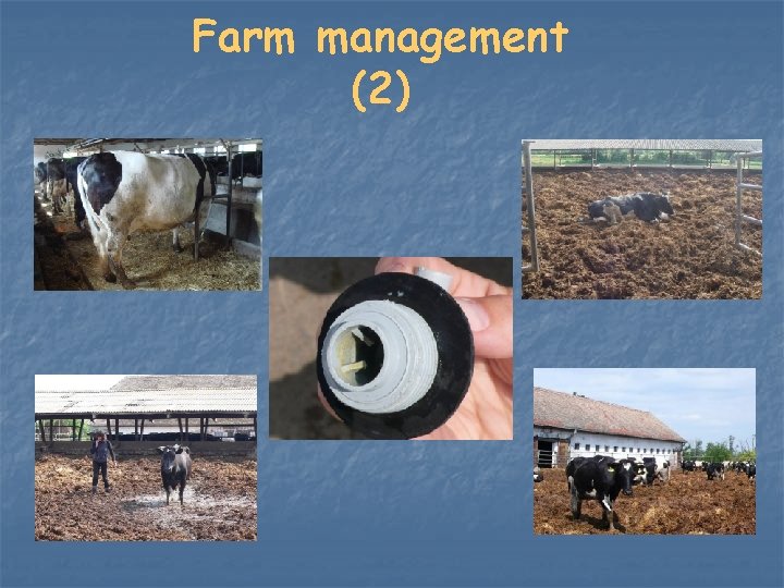 Farm management (2) 