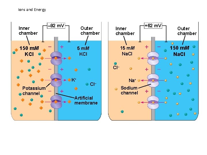 Ions and Energy Inner chamber – 92 m. V Outer chamber 150 m. M