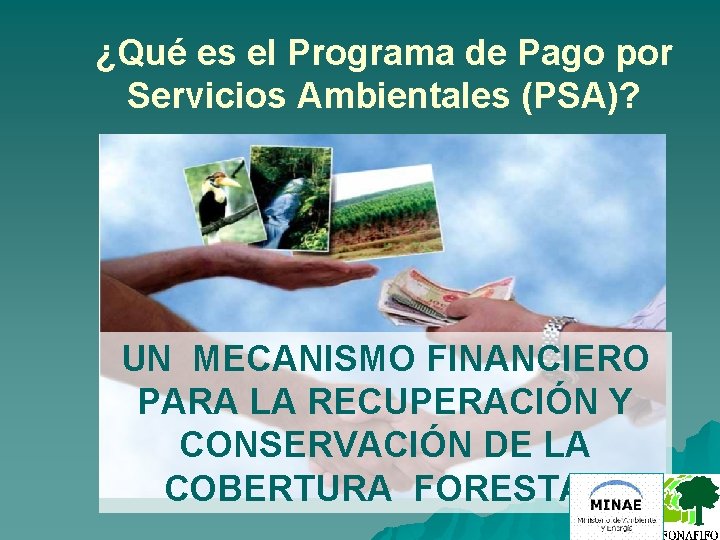 ¿Qué es el Programa de Pago por Servicios Ambientales (PSA)? UN MECANISMO FINANCIERO PARA