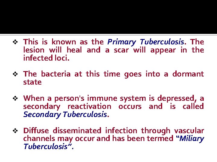 v This is known as the Primary Tuberculosis. The lesion will heal and a