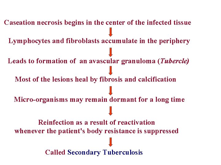 Caseation necrosis begins in the center of the infected tissue Lymphocytes and fibroblasts accumulate