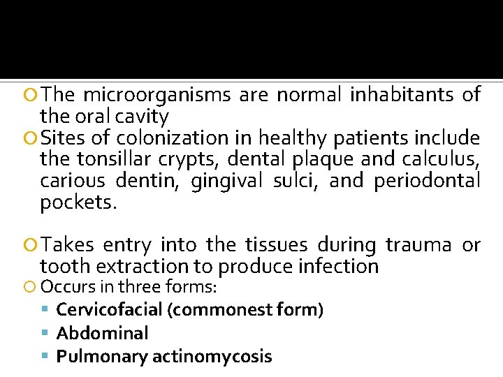  The microorganisms are normal inhabitants of the oral cavity Sites of colonization in