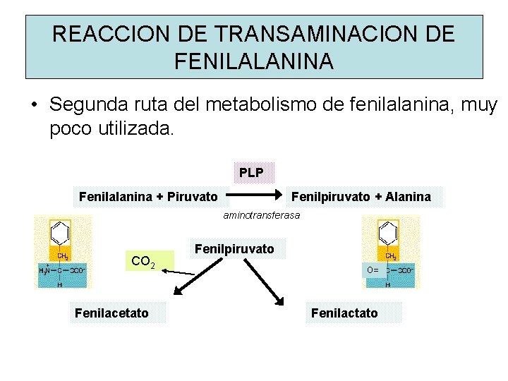 REACCION DE TRANSAMINACION DE FENILALANINA • Segunda ruta del metabolismo de fenilalanina, muy poco