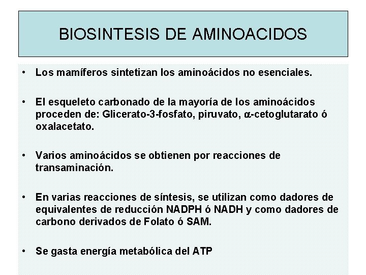 BIOSINTESIS DE AMINOACIDOS • Los mamíferos sintetizan los aminoácidos no esenciales. • El esqueleto