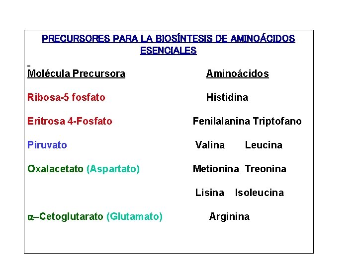 PRECURSORES PARA LA BIOSÍNTESIS DE AMINOÁCIDOS ESENCIALES Molécula Precursora Ribosa-5 fosfato Eritrosa 4 -Fosfato