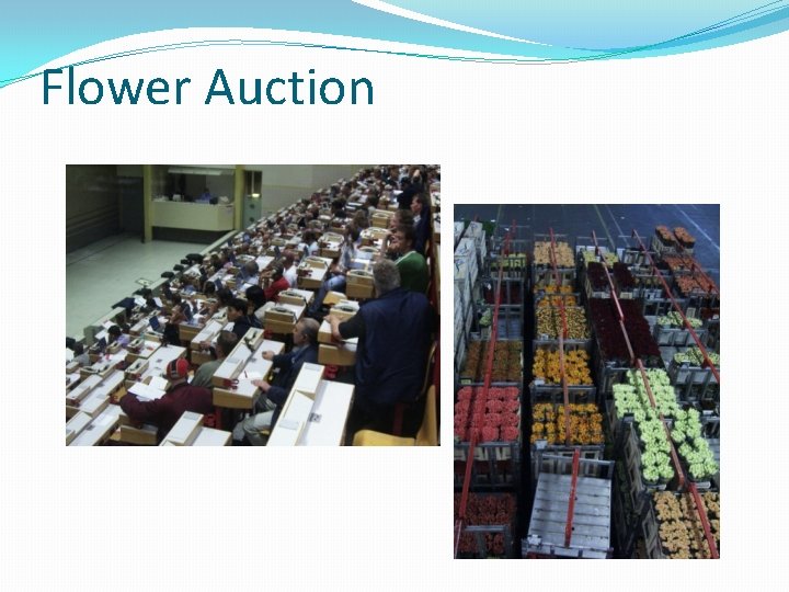 Flower Auction 