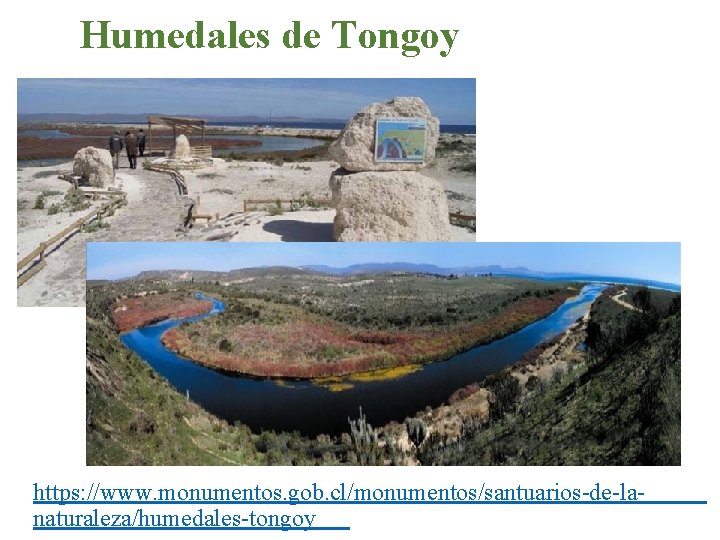 Humedales de Tongoy https: //www. monumentos. gob. cl/monumentos/santuarios-de-lanaturaleza/humedales-tongoy 