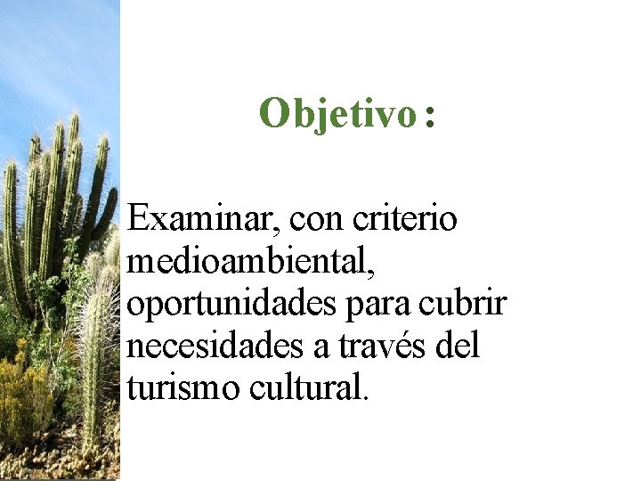 Objetivo : Examinar, con criterio medioambiental, oportunidades para cubrir necesidades a través del turismo