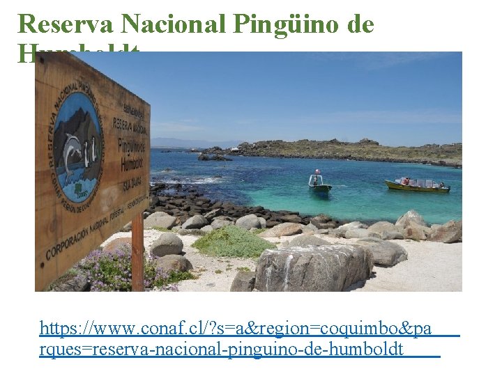 Reserva Nacional Pingüino de Humboldt. https: //www. conaf. cl/? s=a&region=coquimbo&pa rques=reserva-nacional-pinguino-de-humboldt 