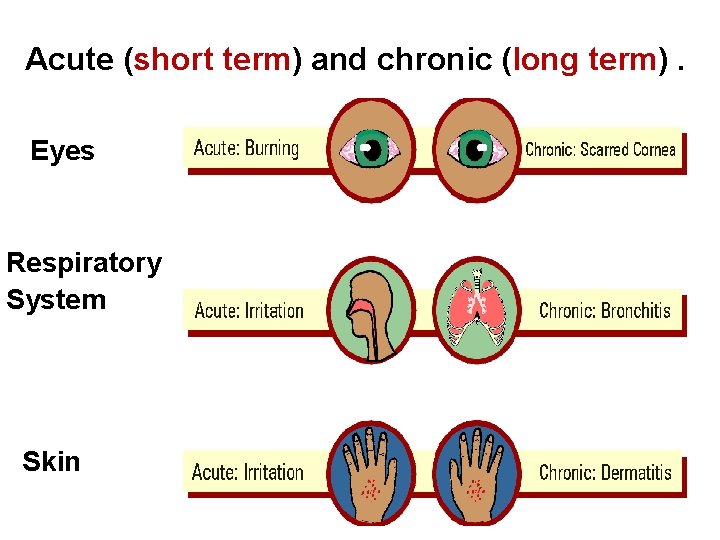 Acute (short term) and chronic (long term). Eyes Respiratory System Skin 