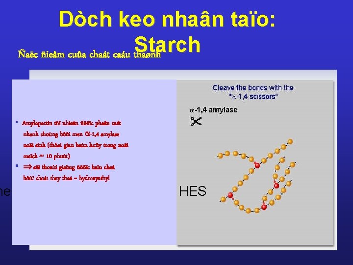 Dòch keo nhaân taïo: Starch Ñaëc ñieåm cuûa chaát caáu thaønh § Amylopectin töï