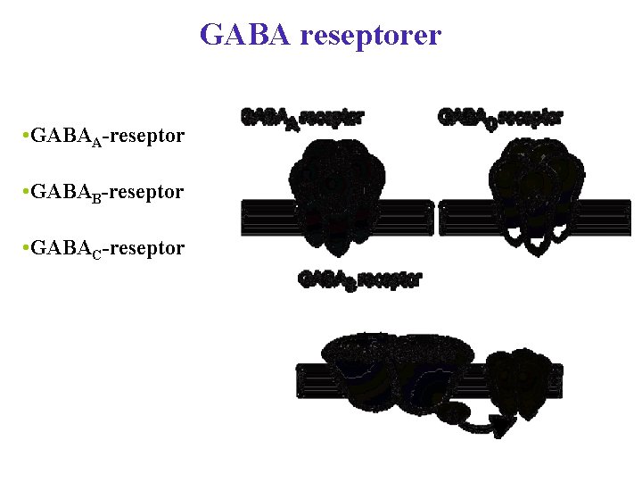 GABA reseptorer • GABAA-reseptor • GABAB-reseptor • GABAC-reseptor 