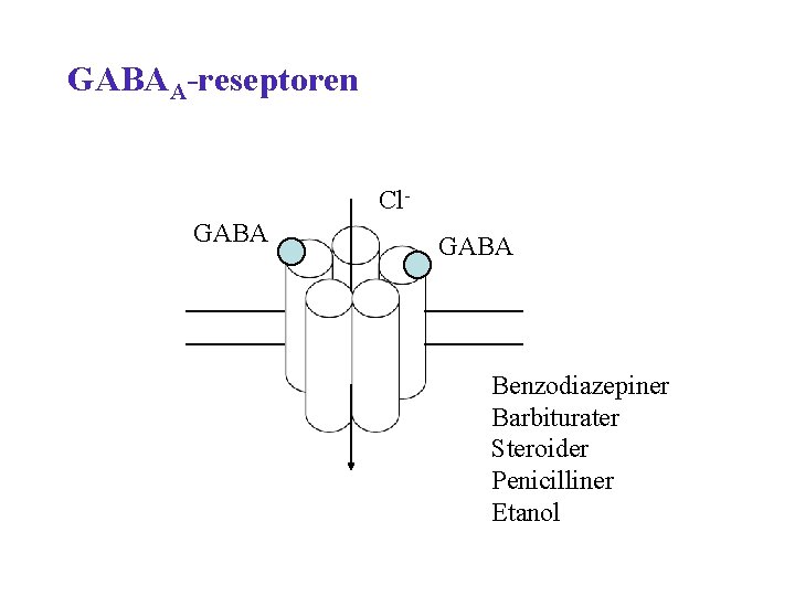 GABAA-reseptoren Cl. GABA Benzodiazepiner Barbiturater Steroider Penicilliner Etanol 