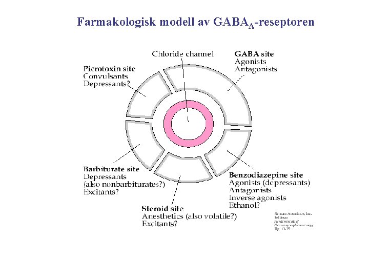 Farmakologisk modell av GABAA-reseptoren 