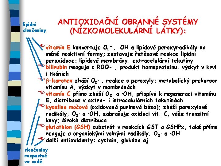 lipidní sloučeniny ANTIOXIDAČNÍ OBRANNÉ SYSTÉMY (NÍZKOMOLEKULÁRNÍ LÁTKY): E vitamín E konvertuje O 2 -.