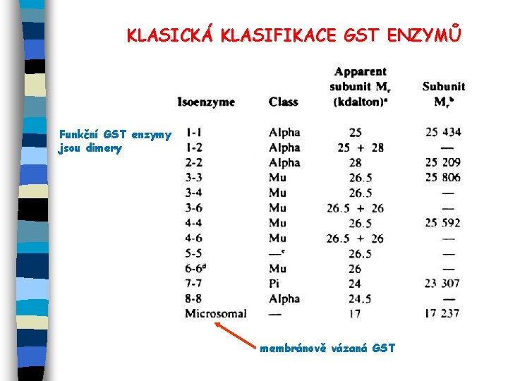 KLASICKÁ KLASIFIKACE GST ENZYMŮ Funkční GST enzymy jsou dimery membránově vázaná GST 