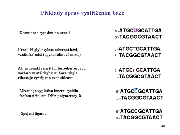 Příklady oprav vystřižením báze Deaminace cytosinu na uracil 5´-ATGCUGCATTGA 3´-TACGGCGTAACT Uracil-N-glykosylasa odstraní bázi, vznik