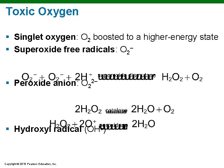 Toxic Oxygen § Singlet oxygen: O 2 boosted to a higher-energy state § Superoxide