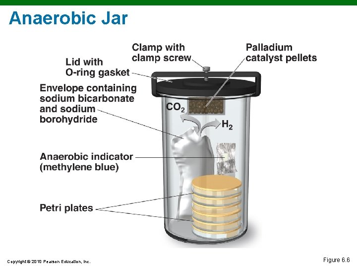 Anaerobic Jar Copyright © 2010 Pearson Education, Inc. Figure 6. 6 