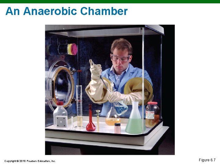 An Anaerobic Chamber Copyright © 2010 Pearson Education, Inc. Figure 6. 7 