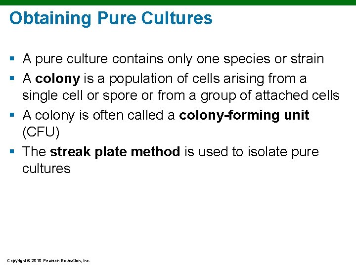 Obtaining Pure Cultures § A pure culture contains only one species or strain §