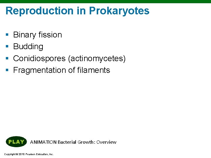 Reproduction in Prokaryotes § § Binary fission Budding Conidiospores (actinomycetes) Fragmentation of filaments ANIMATION